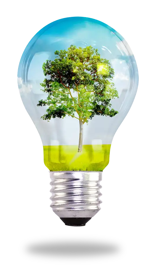 Sustentabilidade civil