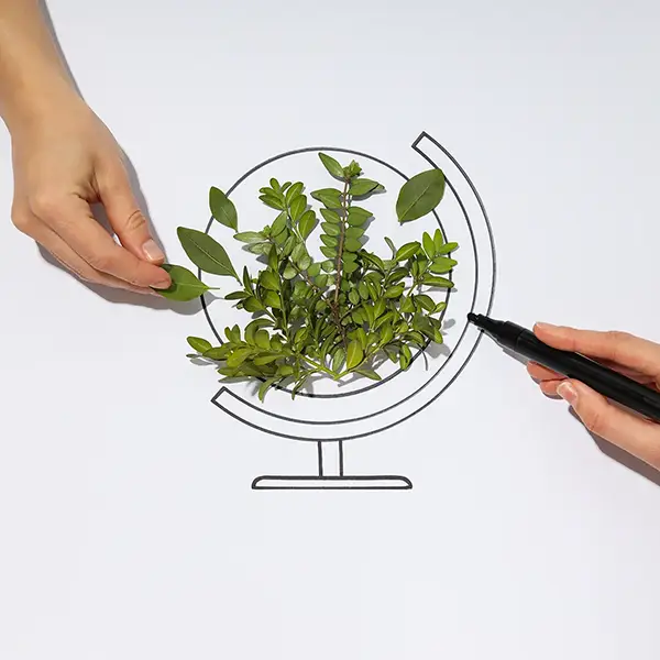 sustentabilidade